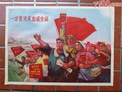 亚利桑那州地址证明假的多少钱